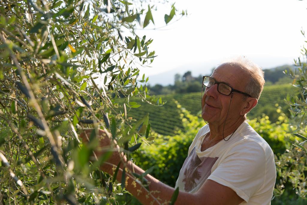 Tarzo Villa Prosecco מראה חיצוני תמונה